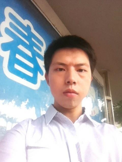 迷失方向的猪的头像