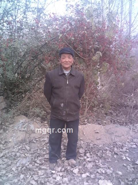 无锋见喜的头像