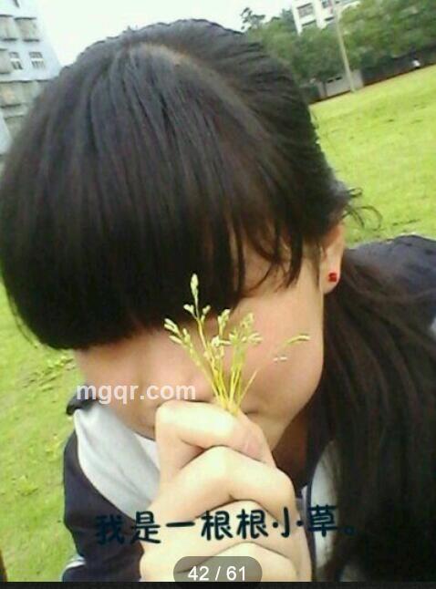 期待的出现的头像