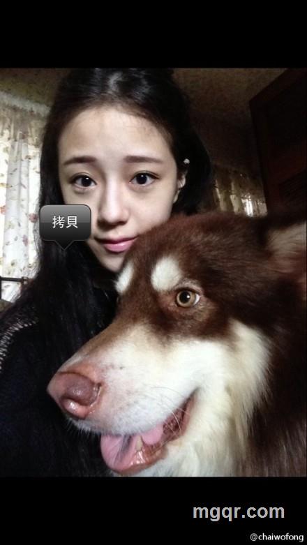 西北望长安的头像