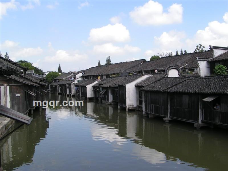 环中随成的头像