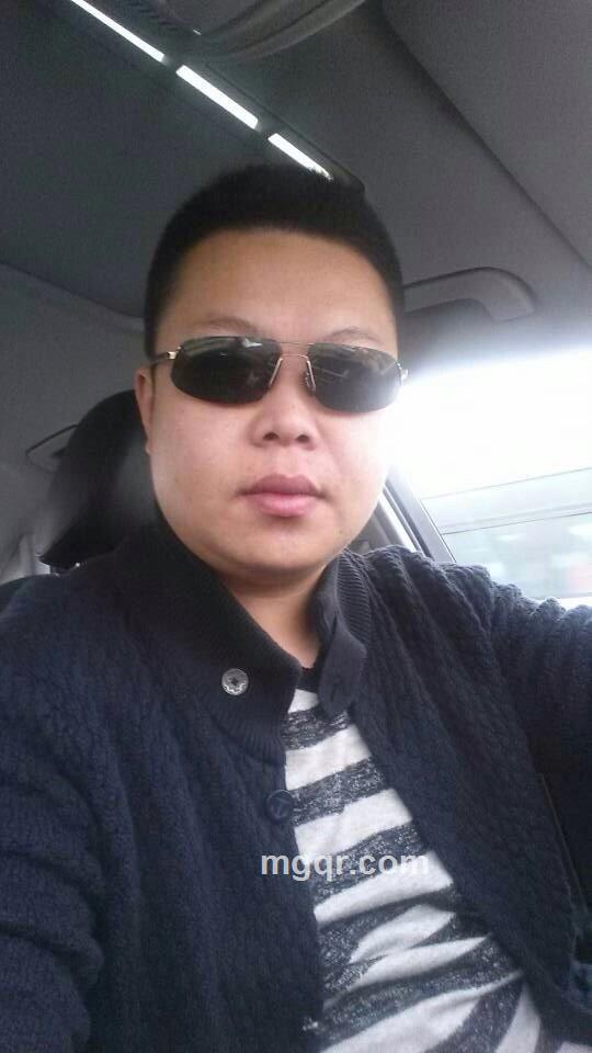 飞来飞去的头像