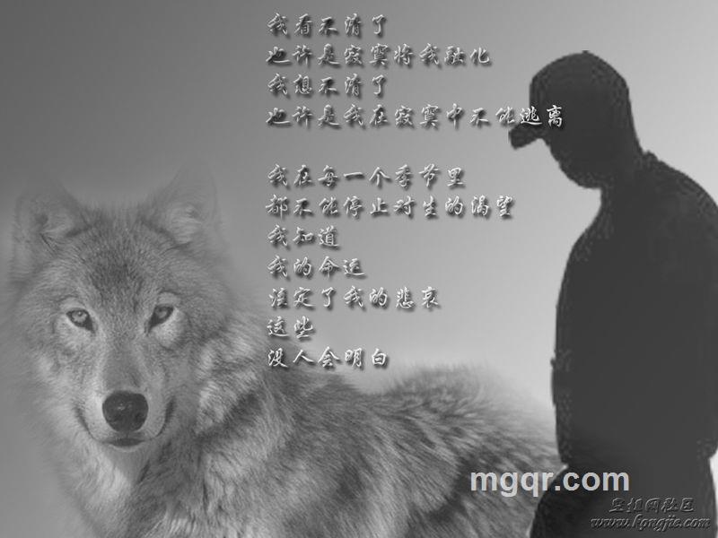 伊犁河谷的头像