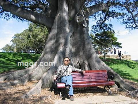 旧约之失的头像