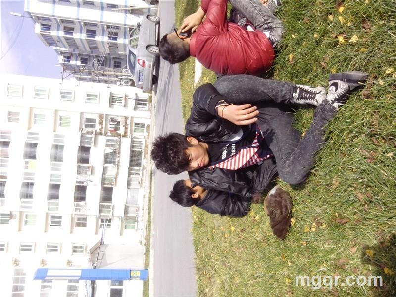 华丽的支架的头像