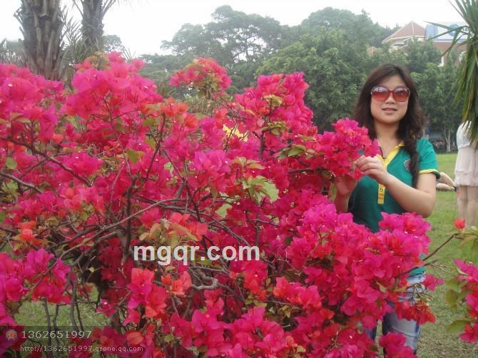 麒麟可好的头像