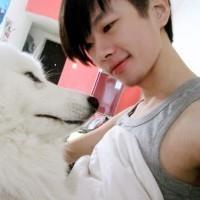 爱屋及鸟的头像