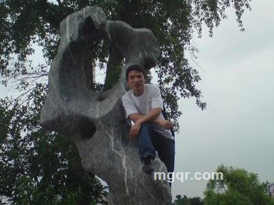 寂寞的狼的头像