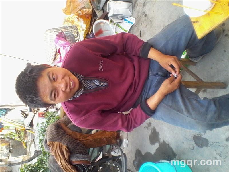 坐墙等你来的头像