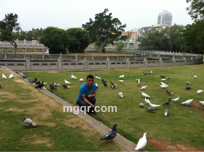 忧伤的王子的头像