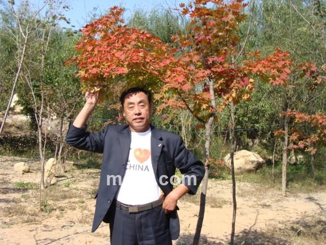 沧海浮槎的头像