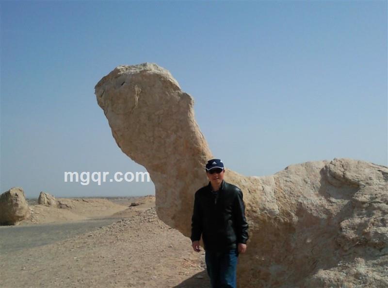 仙山道长的头像