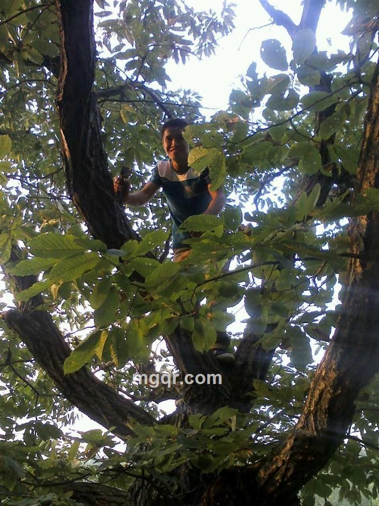 伤透的人的头像