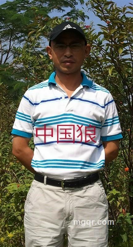 宇宙雄狮的头像