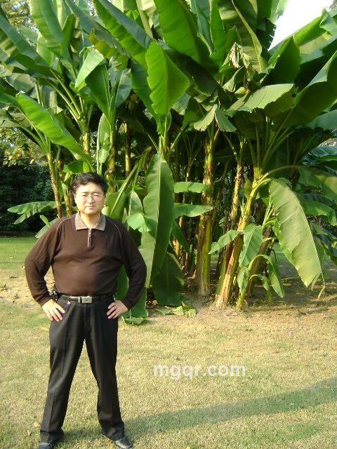 蓝宝石-1的头像