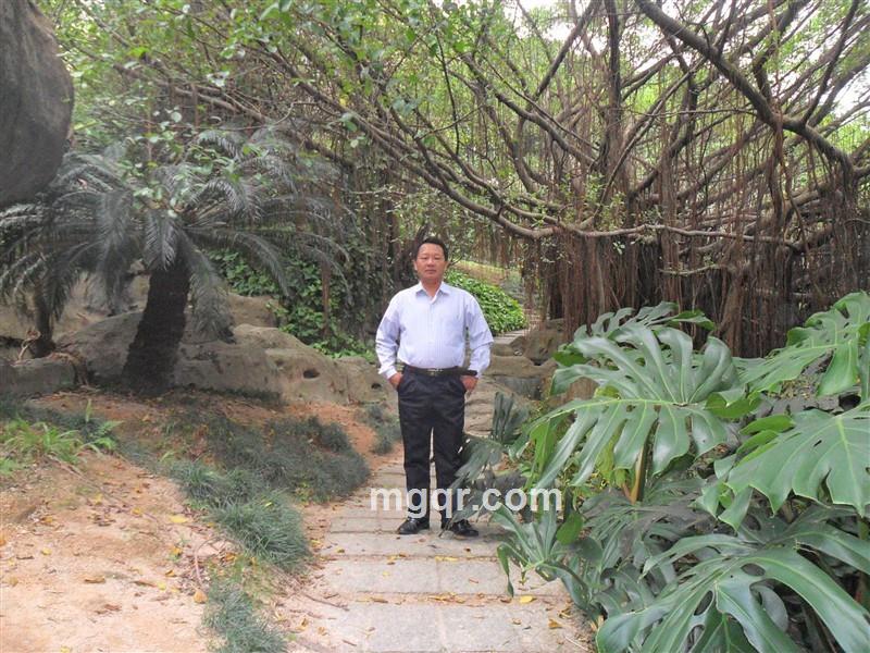 逍遥谷里的头像