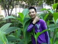 幸福叶子的头像