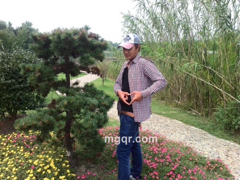 六月的雨(孤雪)的头像