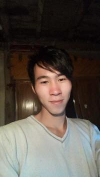 小々强强的头像