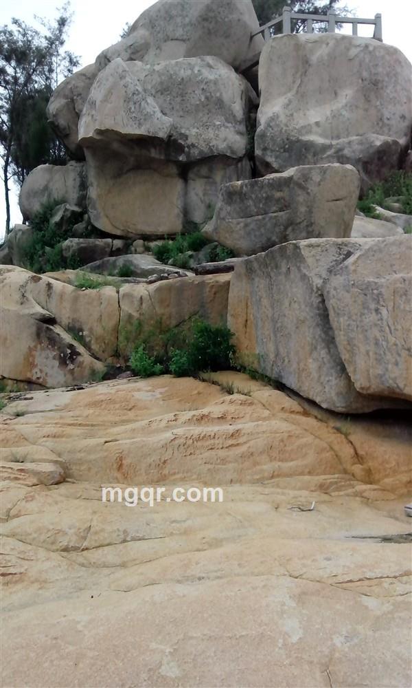 夜不掩盖黑色的的头像