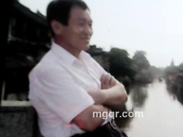 星空网月兔的头像