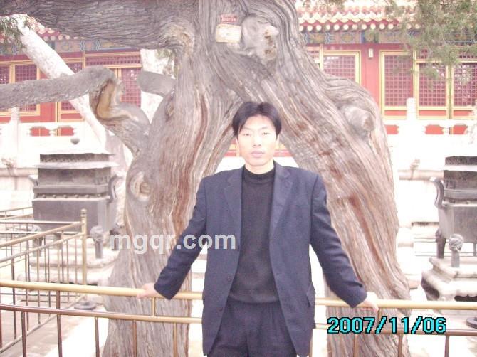 九天飞鸿的头像