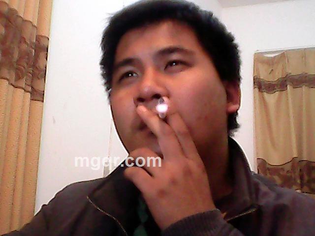 白鸽笨笨翱翔的头像