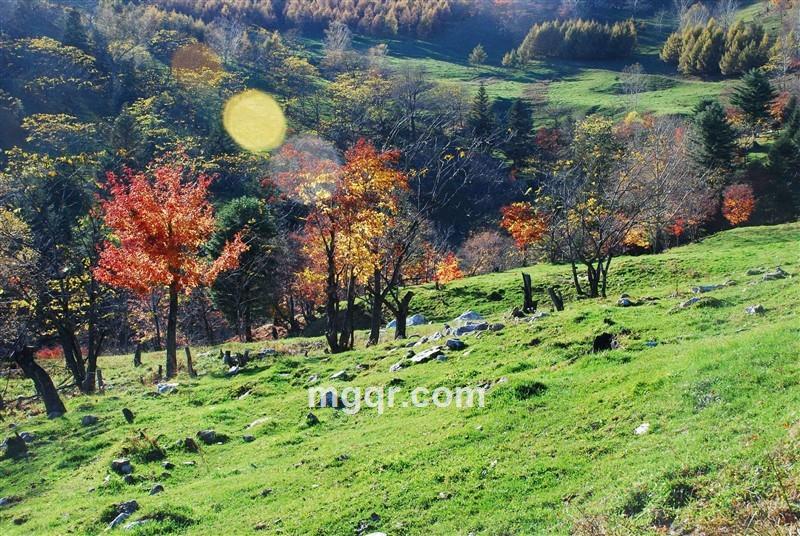 诚找美女情人的头像