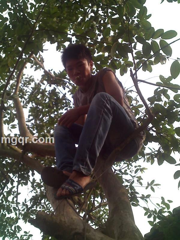 本人出租00的头像