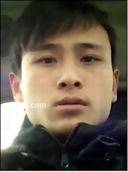 找浪漫的邂逅的头像