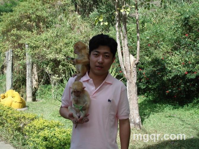 狼的自由的头像