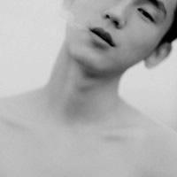 爱的暮光之城的头像