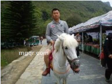 單身男人的头像