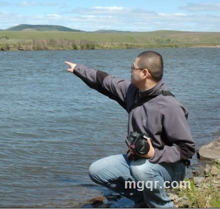 云与飞鸟的头像