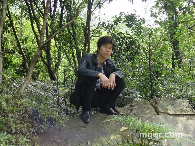 luoyefengling的头像