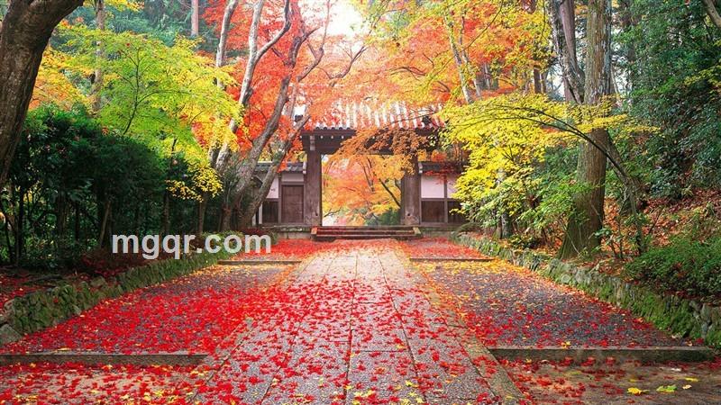 完全规范的头像