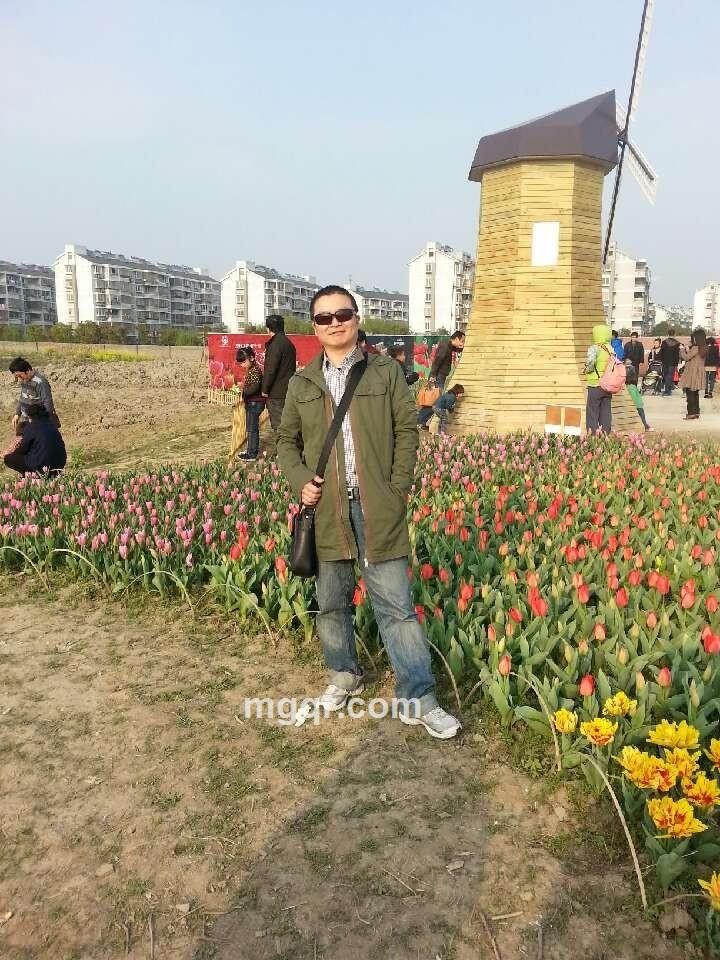 虫虫e夜惰的头像