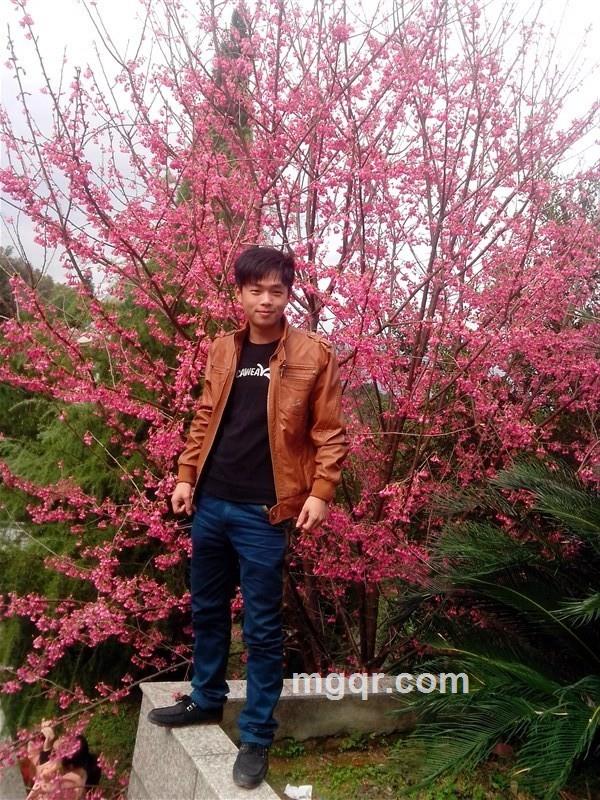 单身天使的头像