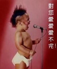 天爱飞鹰的头像