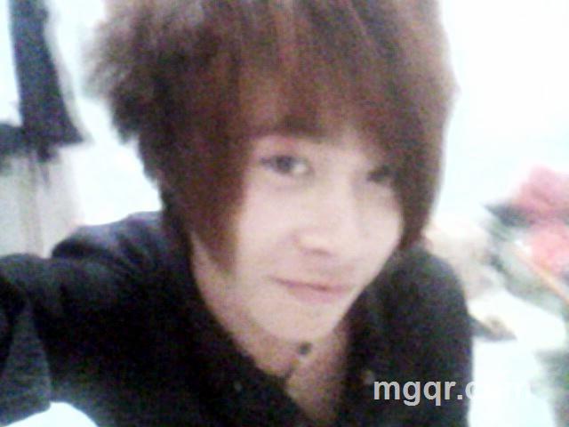 懵懂的爱的头像