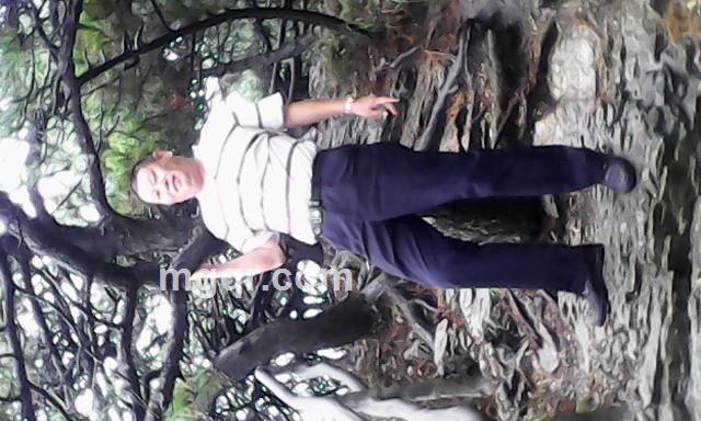 一米阳光的头像