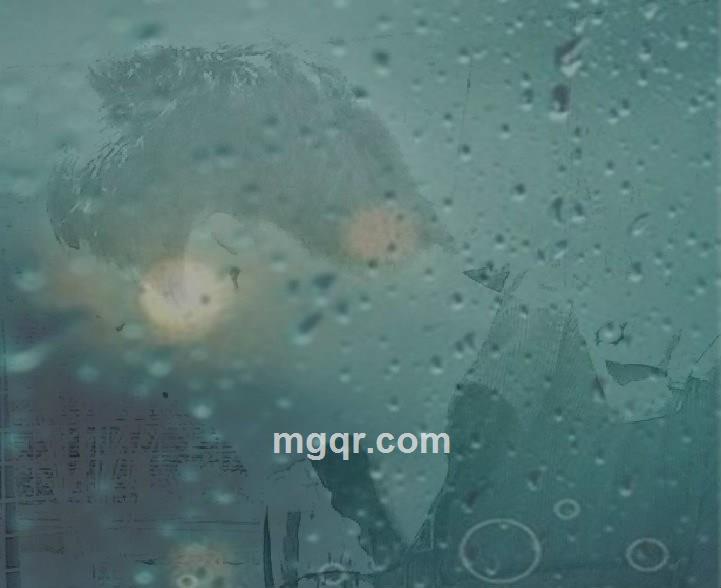 新鲜的寂寞的头像