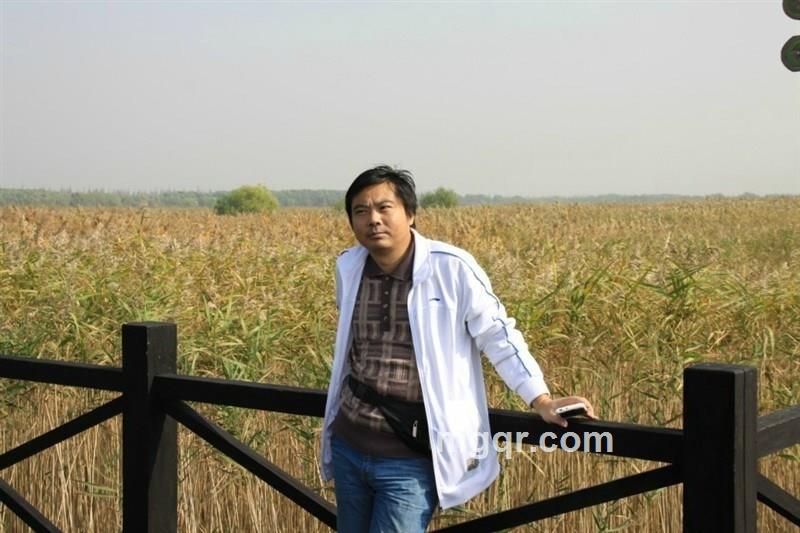 死如秋叶的头像