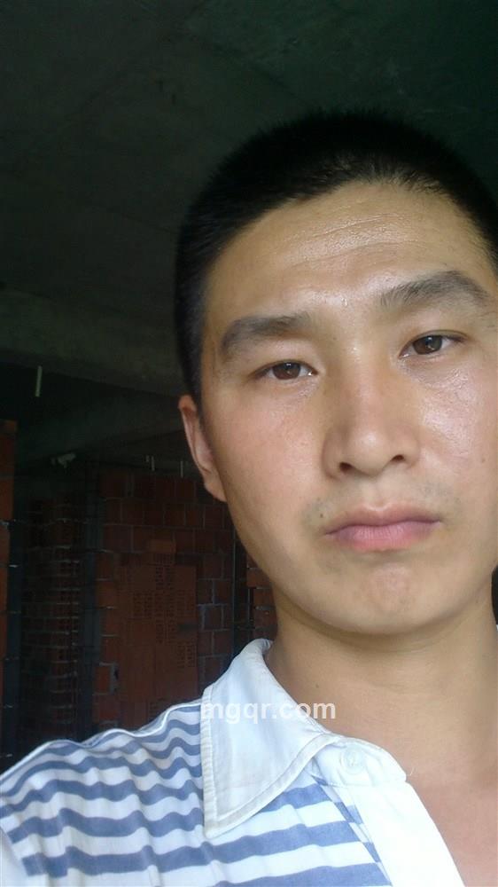 一网情深的头像