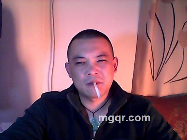 被圈养过的狼的头像