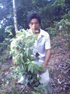 找个人过一辈子的头像