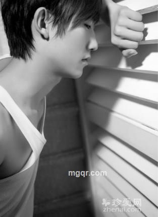 醉看红颜的头像