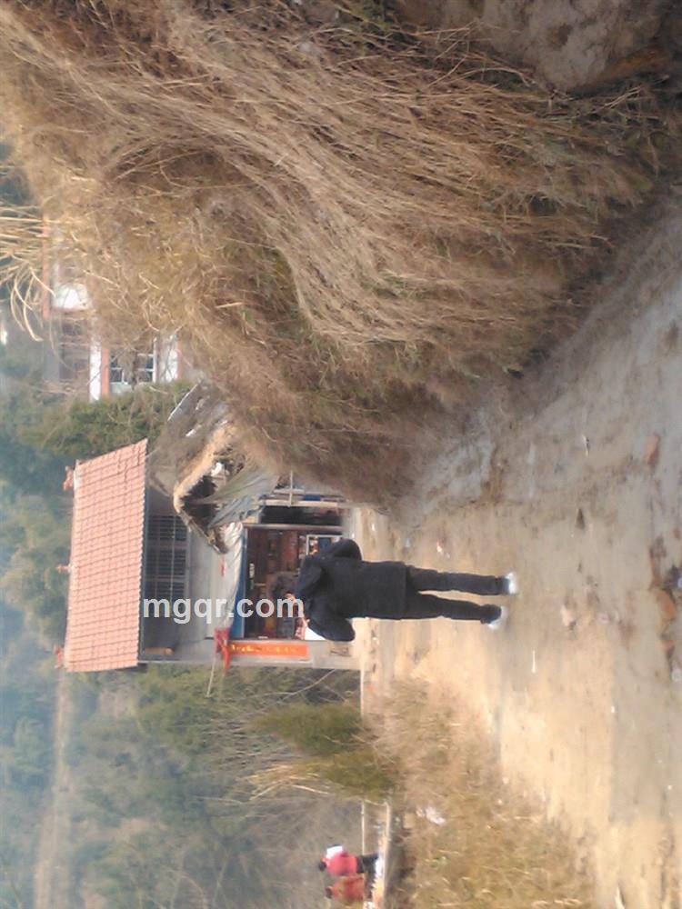 豆腐干恢复谈话