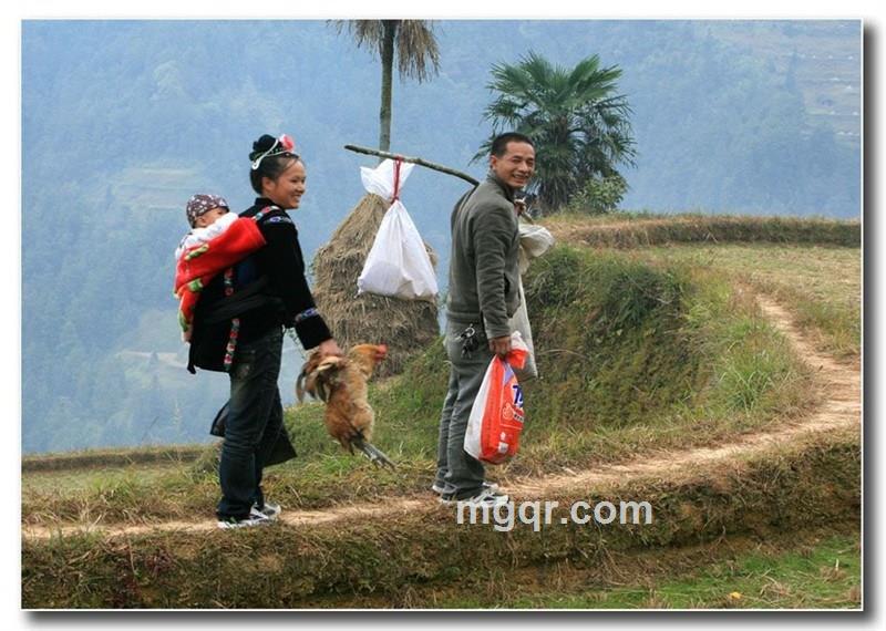 张先生°的头像