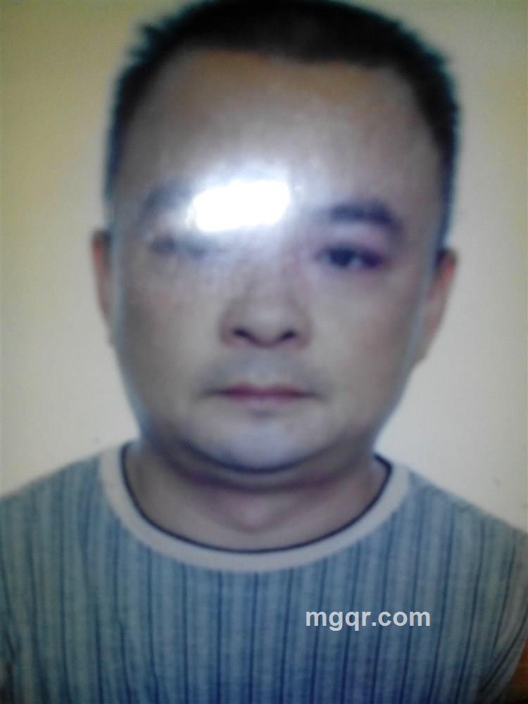 自由飞翔的头像